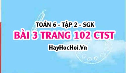 Giải bài 3 trang 102 Toán 6 Tập 2 Chân trời sáng tạo